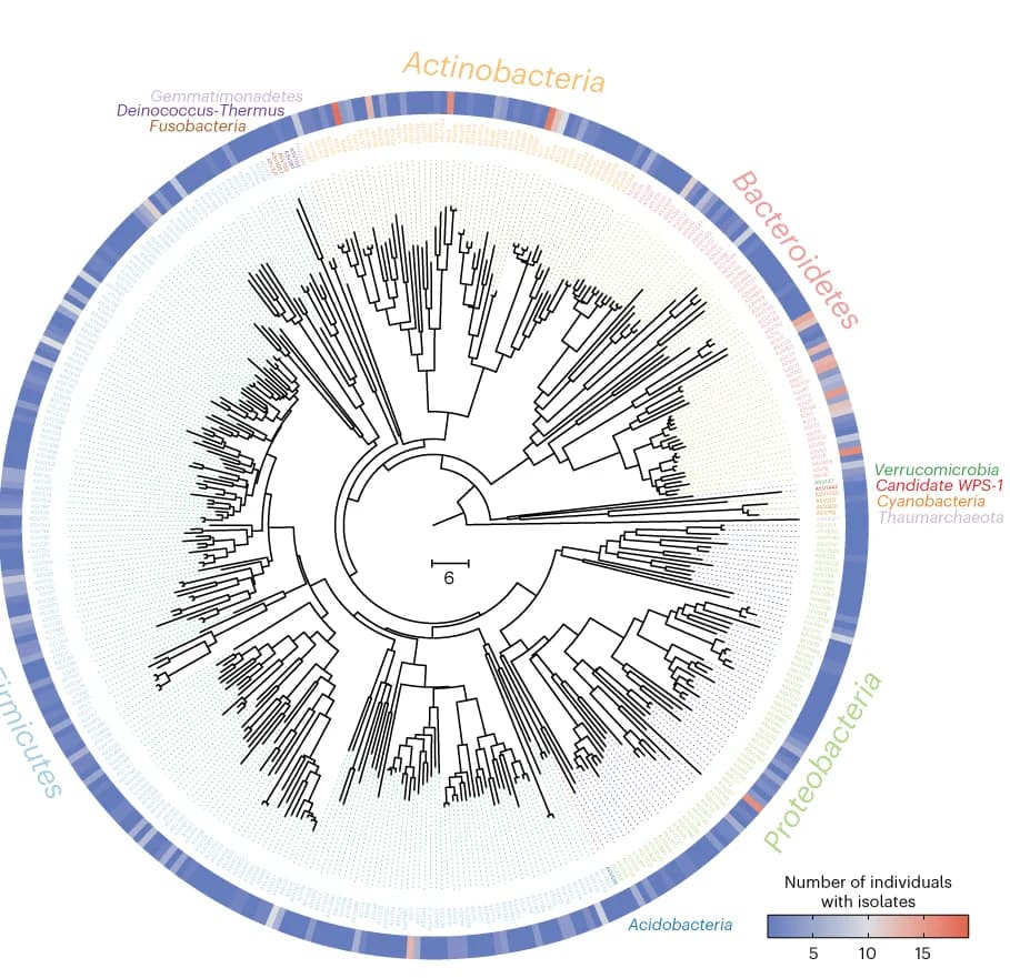 Open access visualization of Network, Pathway, Bar, Bar Plot, Phylogenetic Tree