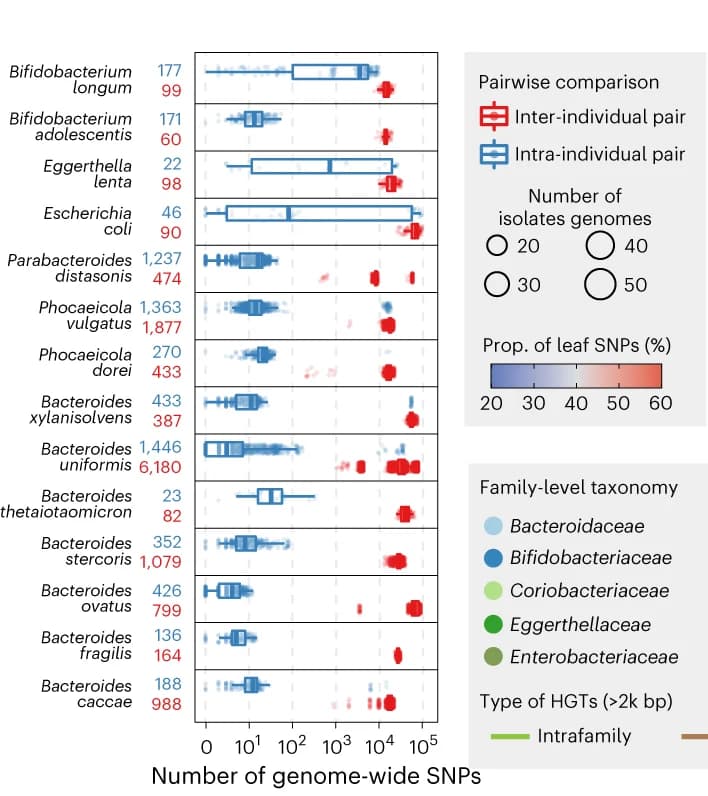 Open access visualization of Box Plot, Scatter Plot, SNPs, Isolates, Species