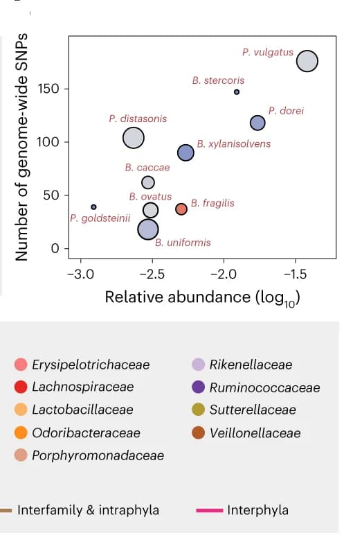 Open access visualization of Bubble Plot, Scatter Plot, SNPs, Relative Abundance, Fecal Sample