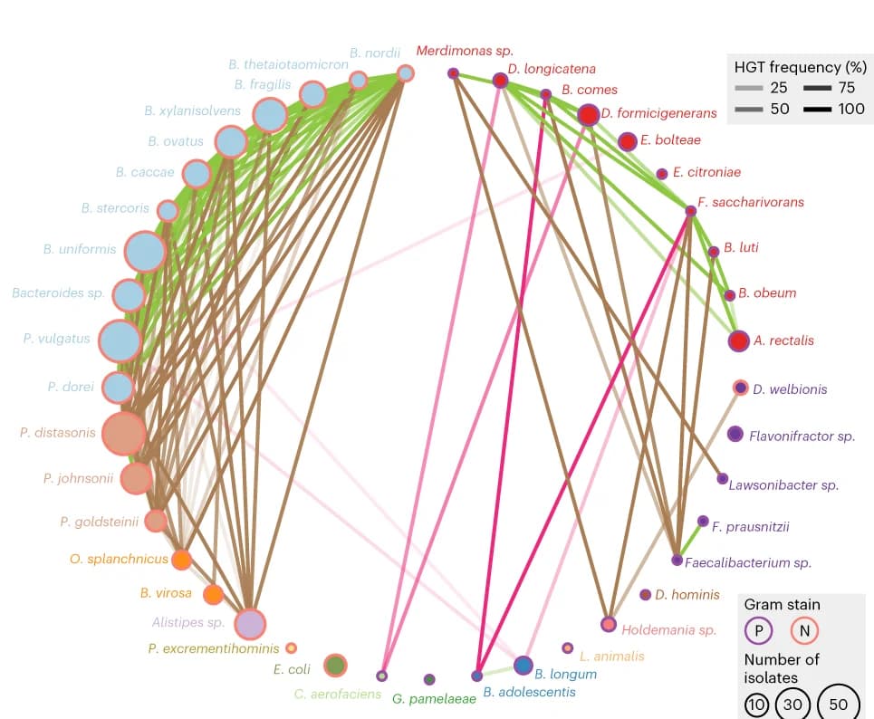 Open access visualization of Network, Chord, HGT, Isolates, Bacterial Species