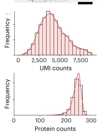 Open access visualization of Histogram, Density Plot, UMI Count, Protein Count, Histograms