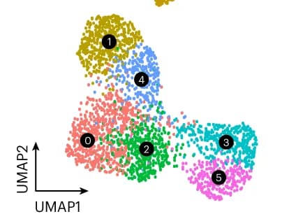Open access visualization of Scatter Plot, UMAP, UMAP Plot, Clustering Analysis, mRNA Transcriptome