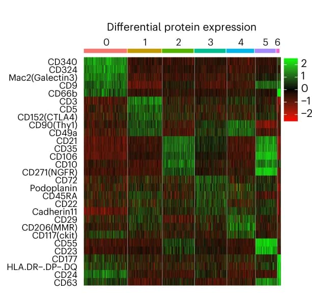 Open access visualization of Heatmap, Differentially Expressed Proteins, Clusters