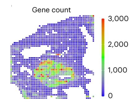 Open access visualization of Heatmap, Gene Count, Spatial Map