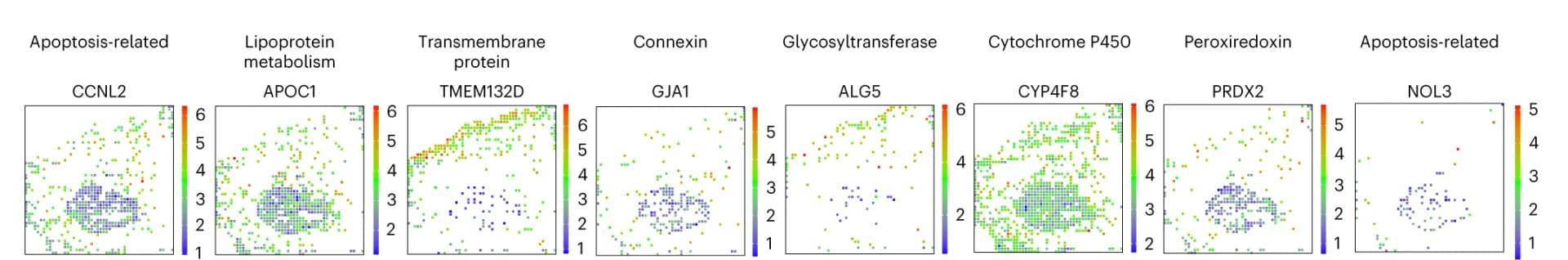 Open access visualization of Heatmap, Visualization, Genes, Gene Oncology, Integrated Analysis