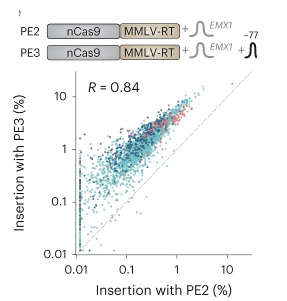 Open access visualization of Scatter Plot, PE3, PE2, EMX1 Site, Insertion Frequencies