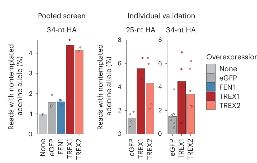 Open access visualization of Bar Plot, Scatter Plot, Adenine Allele, Overexpression Constructs, Homology Arm Lengths