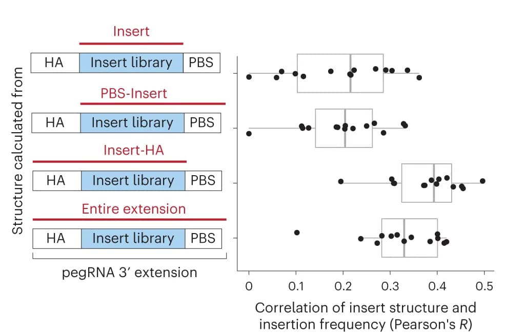 Open access visualization of Box Plot, Scatter Plot, Insertion Rate, Sequence Free Energy, HEK293T Cells