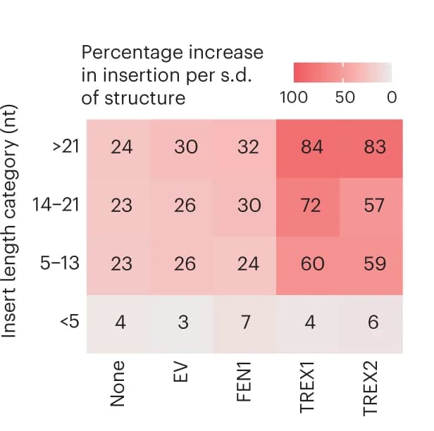 Open access visualization of Heatmap, Insertion Rate, Structure Strength, Overexpression Constructs, Insertion Sequence Lengths