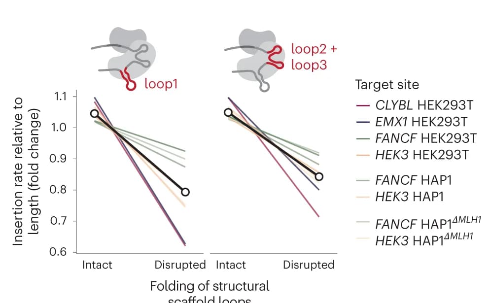 Open access visualization of Line Plot, Insertion Rate, Scaffold Loops