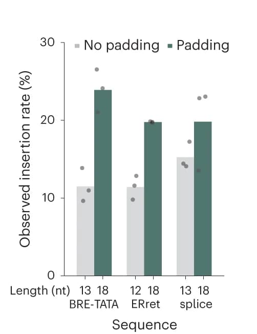 Open access visualization of Clustered, Bar Plot, Padding, Insertion Rates, Sequences