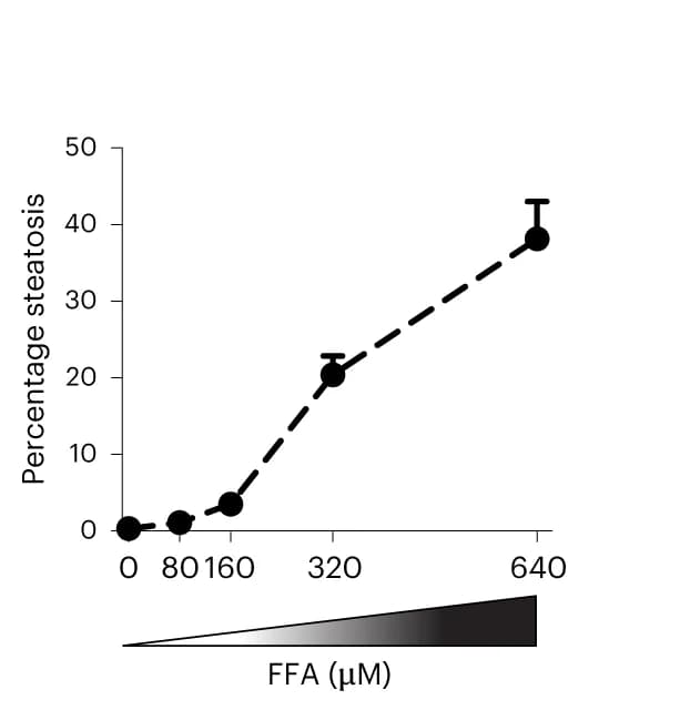 Open access visualization of Line Plot, Error Bars, Steatosis, FFA Concentrations, WT Organoids