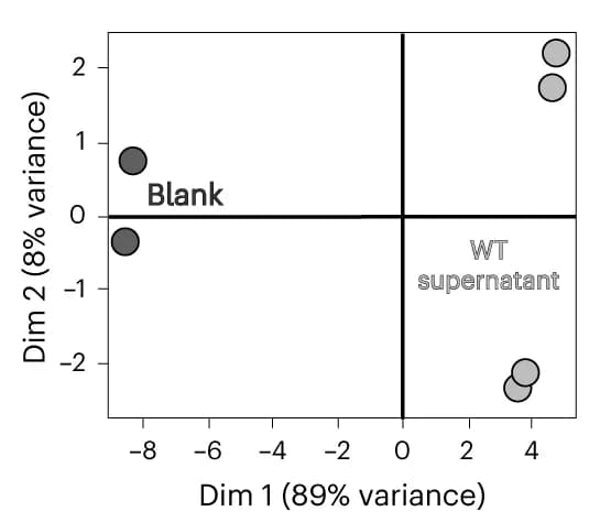 Open access visualization of Scatter Plot, PCA, Neutral Lipids, Supernatant, WT Organoids
