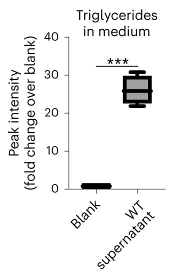 Open access visualization of Box Plot, Quantification, TAG Content, Supernatant, WT Organoids