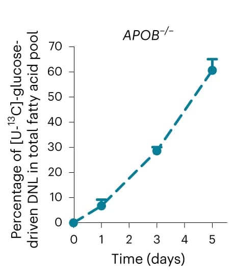 Open access visualization of Line Plot, Error Bars, Quantification, Glucose-driven DNL, Fatty Acid Pool