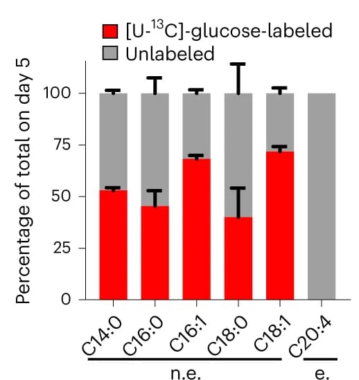 Open access visualization of Stacked Bar Plot, Error Bars, Quantification, Glucose-driven DNL, Nonessential Fatty Acids