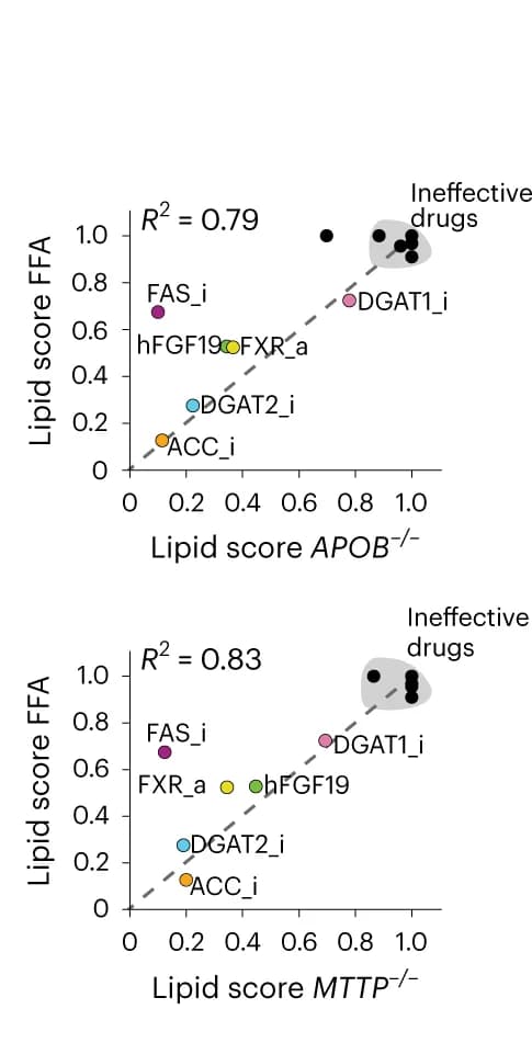 Open access visualization of Scatter Plot, Regression Plot, Correlation Plots, Lipid Scores, APOB -/- Organoids