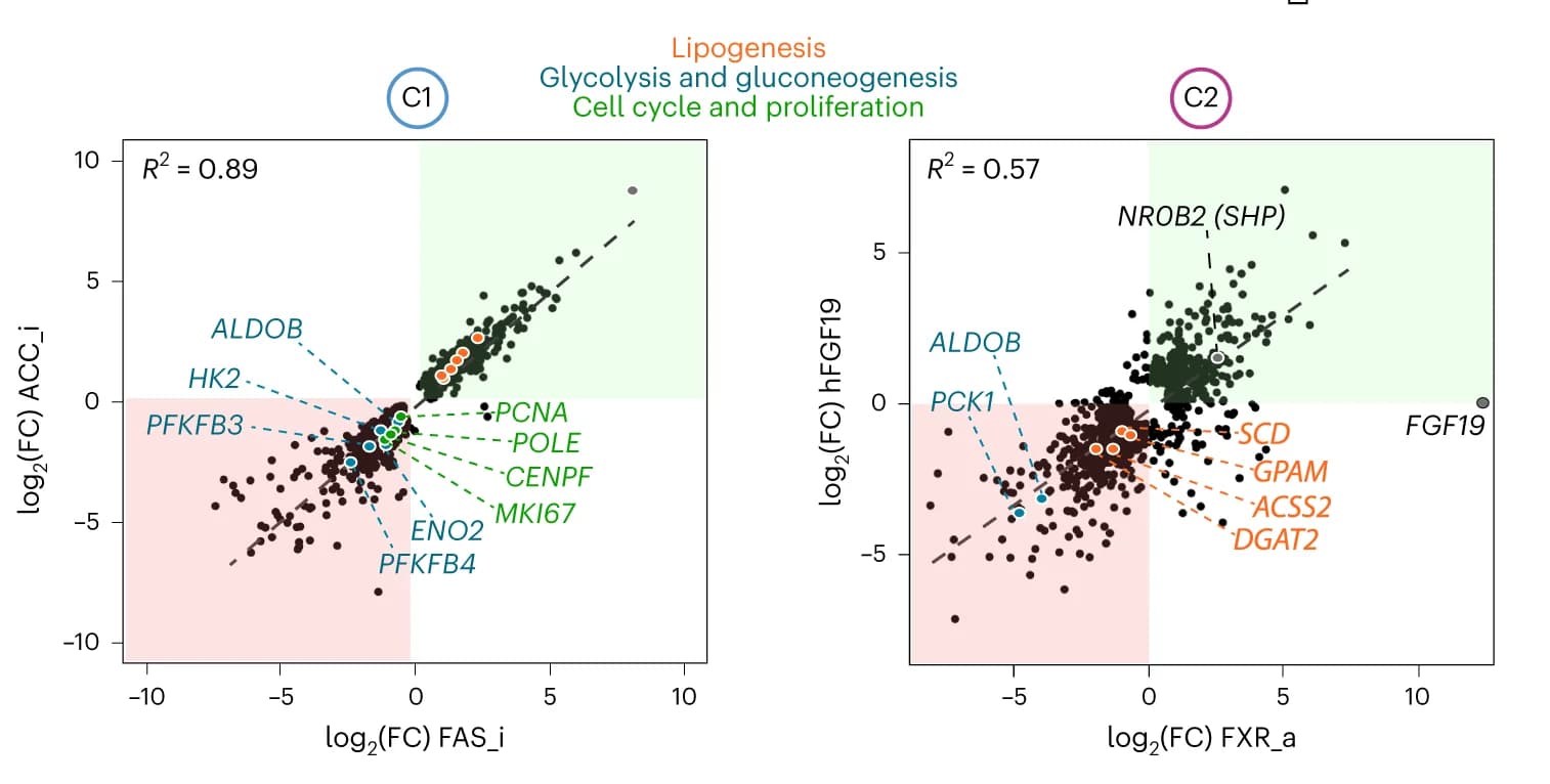 Open access visualization of Scatter Plot, Regression Plot, Correlation Plots, DEGs, Drug Treatment
