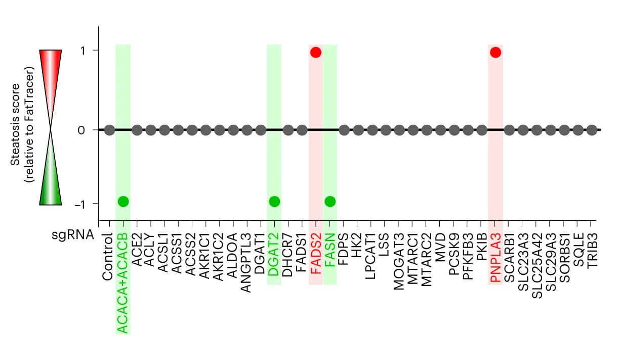 Open access visualization of Scatter Plot, CRISPR-LOF Screening, FatTracer, Steatosis Scoring Scale