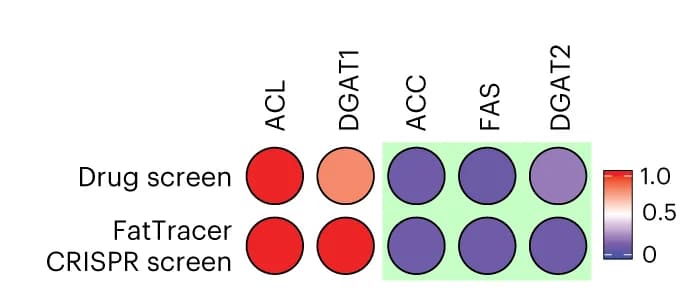 Open access visualization of Heatmap, Comparative Analysis, FatTracer, CRISPR-LOF Screening, Drug Screening