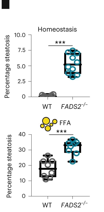 Open access visualization of Box Plot, Scatter Plot, Steatosis, Homeostasis, FFA Exposure