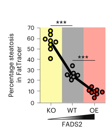 Open access visualization of Scatter Plot, Regression Plot, Steatosis, FADS2 Variant, FatTracer