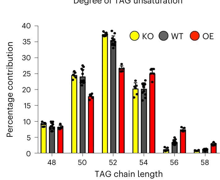 Open access visualization of Clustered, Bar Plot, Error Bars, TAG unsaturation, Chain Length