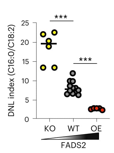 Open access visualization of Scatter Plot, DNL Index, Fatty Acid Composition, TAG, FADS2 Variant