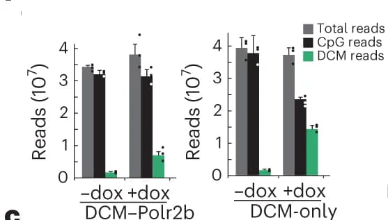 Open access visualization of Bar Plot, Error Bars, Clustered, DCM Labeling, Dox Treatment