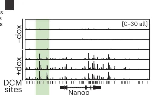 Open access visualization of Bar Plot, Histogram, Genome Browser View, DCM-specific, MeD-seq