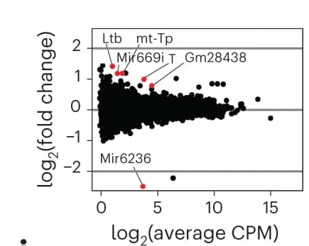 Open access visualization of Scatter Plot, Volcano Plot, RNA-seq Analysis, Gene Expression, Dox Induction