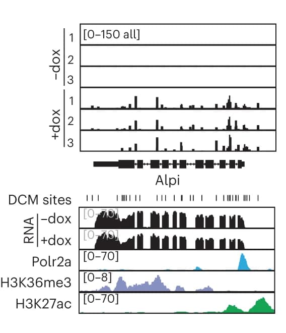 Open access visualization of Line Plot, Bar Plot, Genome Browser View, DCM-specific MeD-seq, RNA-seq