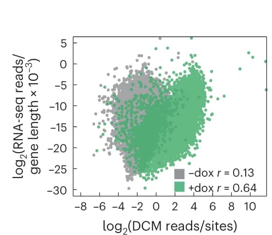 Open access visualization of Scatter Plot, Regression Plot, RNA-seq, Gene Expression, DCM Read Count