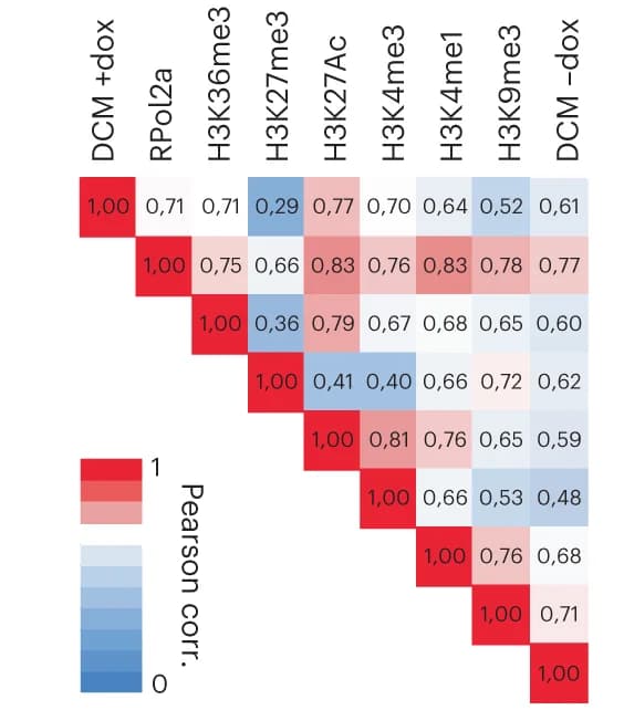 Open access visualization of Heatmap, Pearson Correlation Analysis, DCM, ChIP-seq, Read Count Distribution