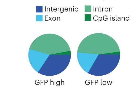 Open access visualization of Pie Chart, DCM Reads, Intergenic, Exonic, Intronic