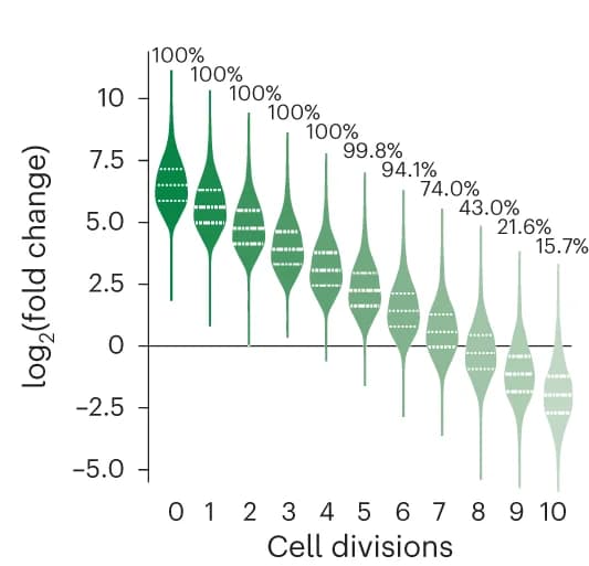 Open access visualization of Violin Plot, In Silico Prediction, DCM Labeling Levels, Cell Division, Doxycycline