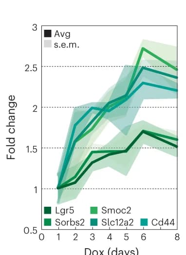 Open access visualization of Line Plot, Error Bars, DCM Labeling, ISC Genes