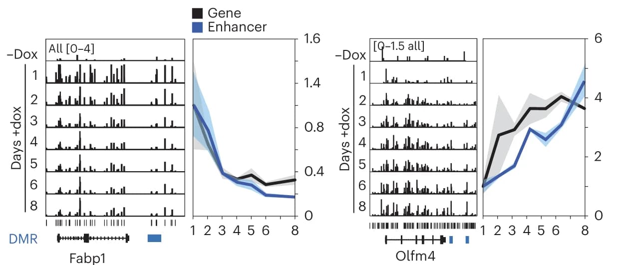 Open access visualization of Line Plot, Bar Plot, Histogram, Error Bars, Genome Browser View