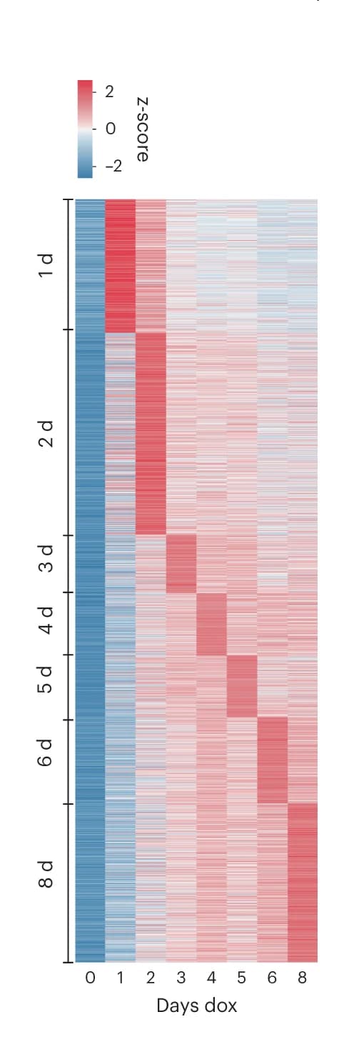 Open access visualization of Heatmap, Heat Map, DCM, Enhancers, Z-Scores