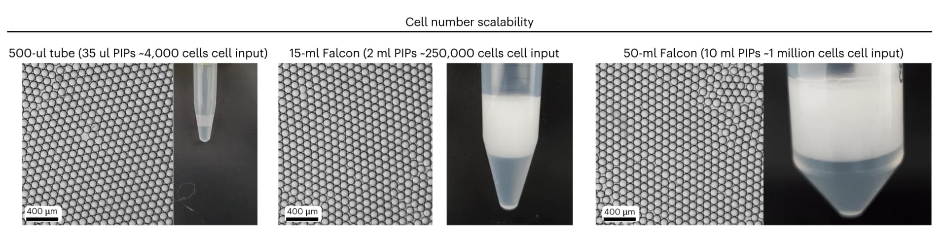Open access visualization of Microscopy, Photo, Emulsification, Emulsions, Cell numbers