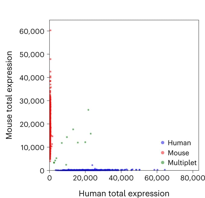 Open access visualization of Scatter Plot, Cell Transcriptomes, Barnyard Plots, Cells, Mouse Reads