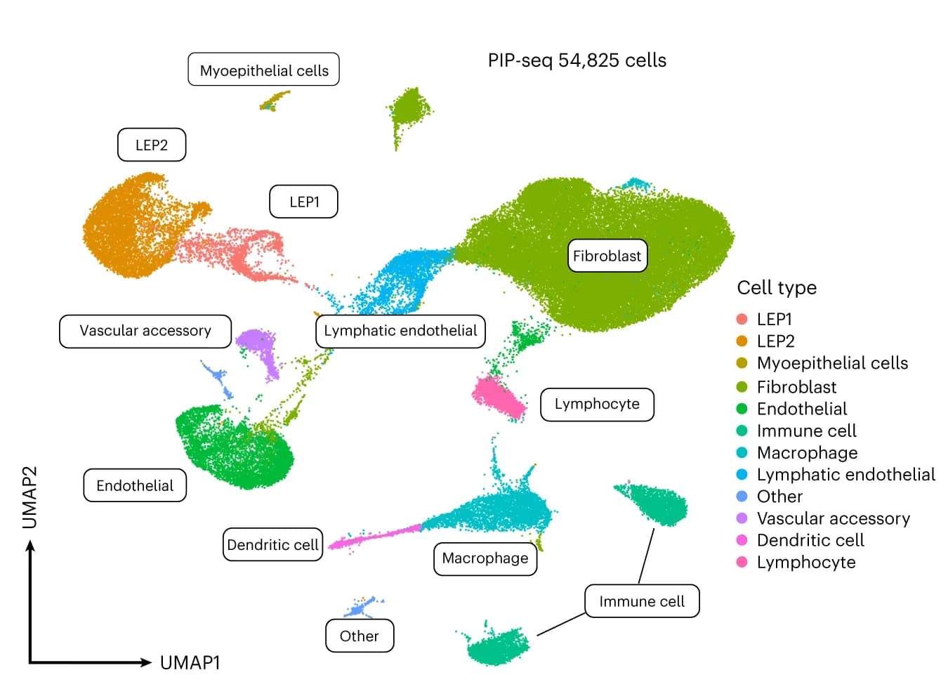 Open access visualization of UMAP, Cell Types, PIP-seq Data, Clustering