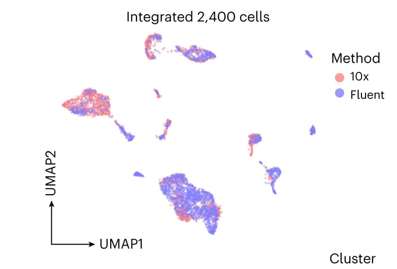 Open access visualization of Scatter Plot, UMAP, PIP-seq Data, 10x Genomics Data, Tissue