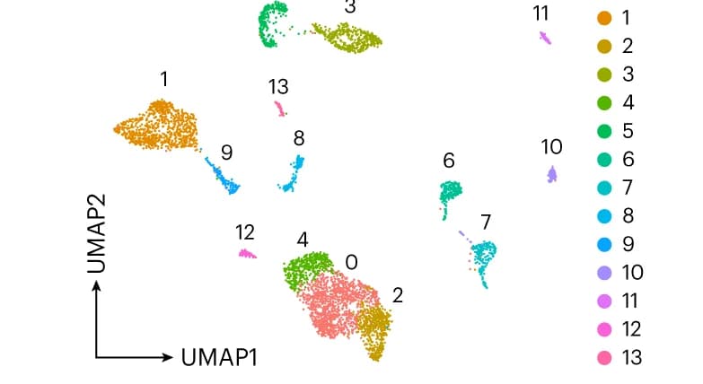 Open access visualization of Scatter Plot, UMAP, PIP-seq Data, 10x Data, Integration
