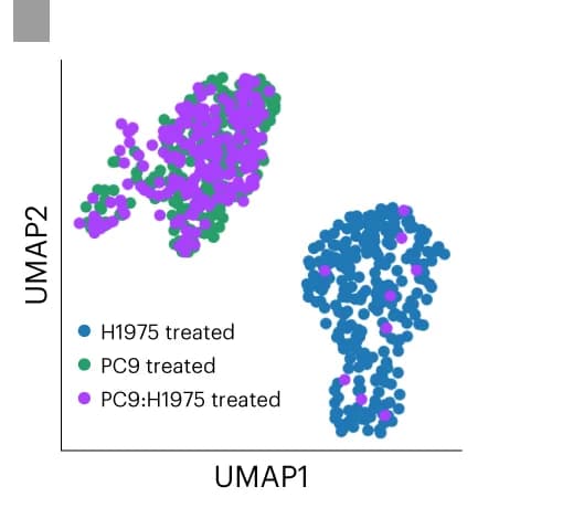 Open access visualization of Scatter Plot, UMAP, PIP-seq RNA, CITE-seq, MPAL