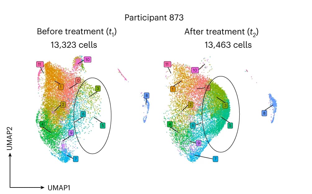 Open access visualization of Scatter Plot, UMAP, Single Cell Clustering, Chemotherapy
