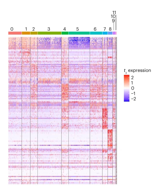 Open access visualization of Heatmap, Heat Map, Differentially Expressed Genes, Single Cell Clusters, Relapse