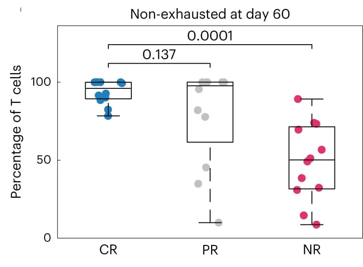 Open access visualization of Box Plot, Scatter Plot, Parameter Sets, Model Simulations, T Cell Population