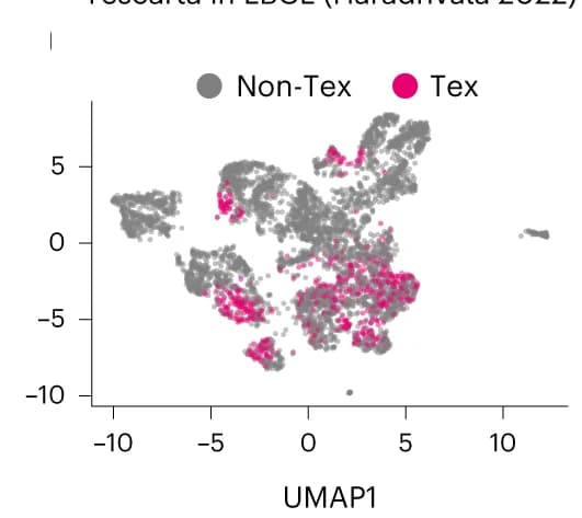 Open access visualization of UMAP, Scatter Plot, ProjectTILs, Exhaustion, Yescarta