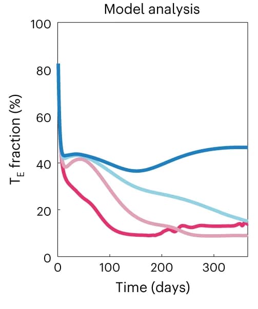 Open access visualization of Line Plot, Model Analysis, T Cell Population, Memory Cells, Effector Cells